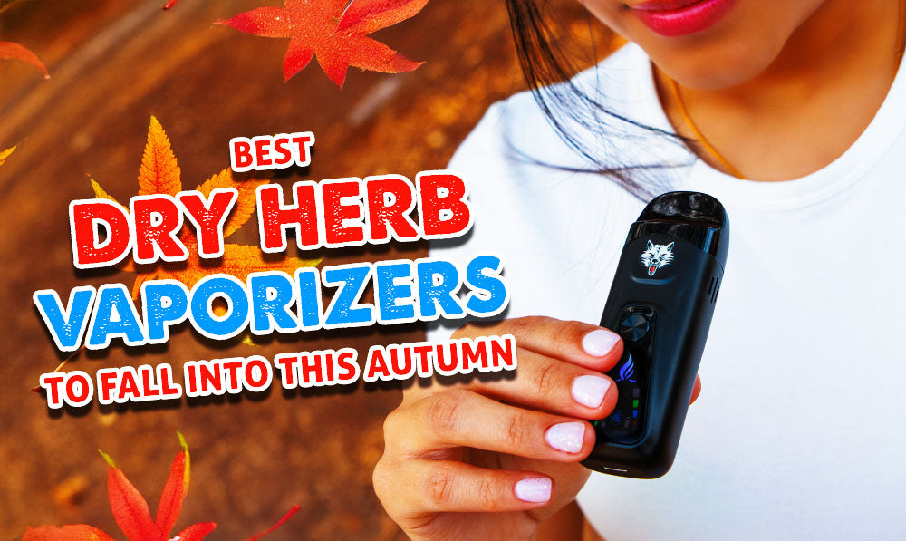Best Dry Herb Vaporizers To Fall Into This Autumn