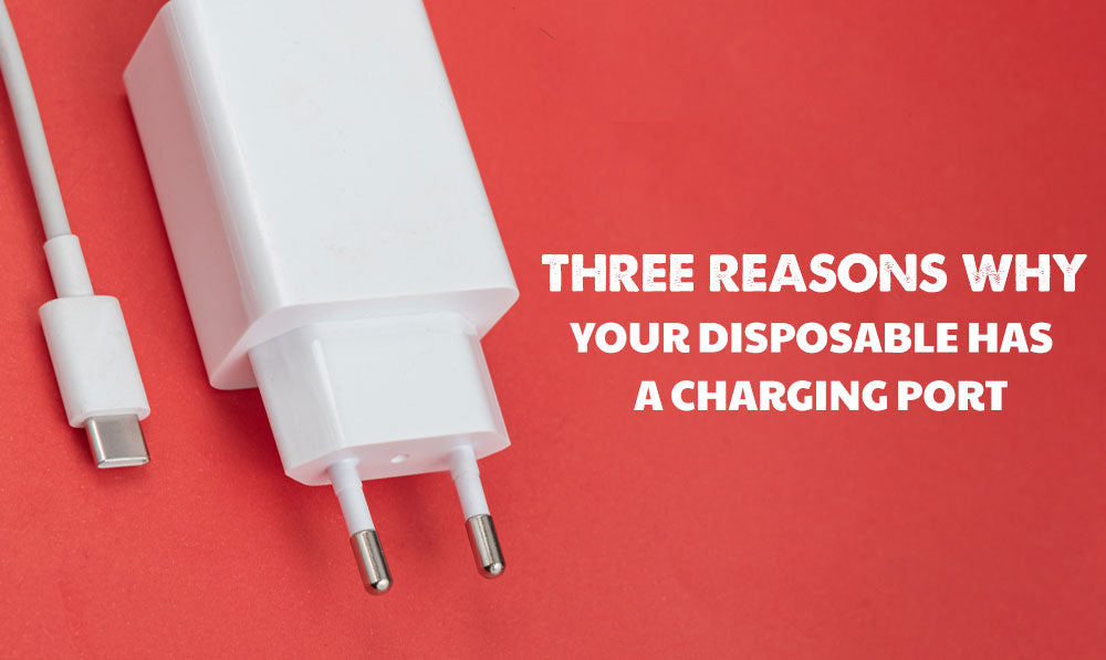Three Reasons Why Your Disposable Vape Has a Charging Port