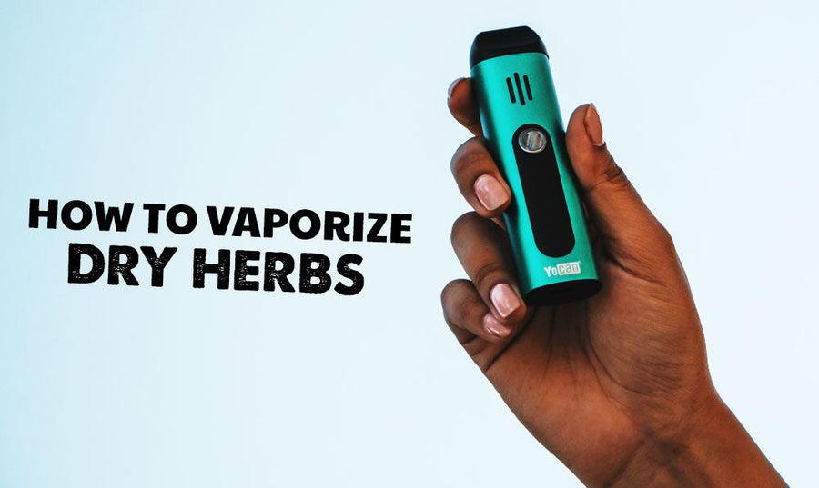 How to Vaporize Dry Herbs 101