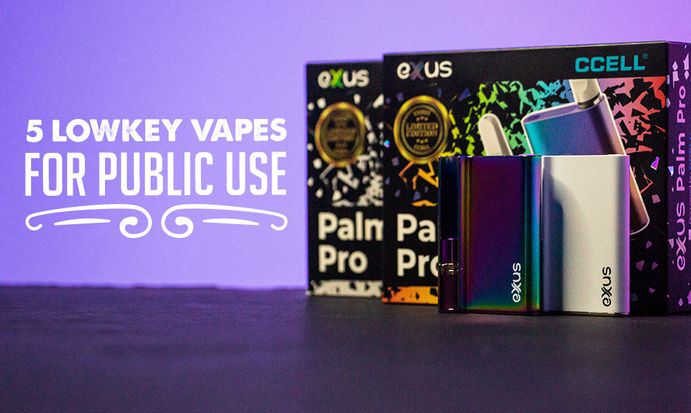 Discreet Delights: Top 5 Lowkey Vapes for Public Use Blog Banner
