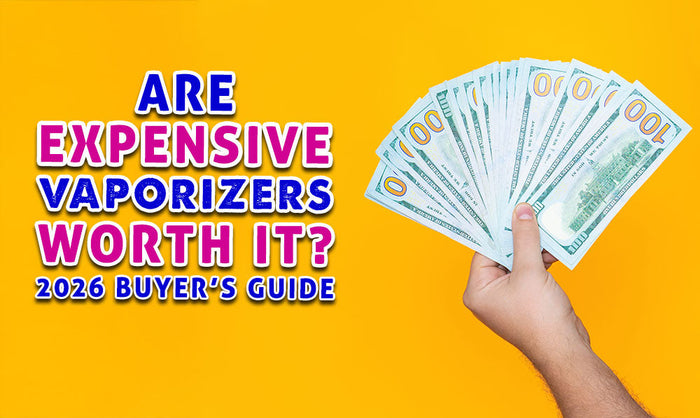 Are Expensive Vaporizers Worth It? (Buyer's Guide)