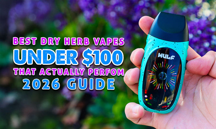 Best Dry Herb Vaporizers Under $100 That Actually Perform