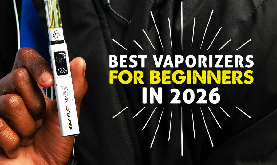 Best Vaporizers for Beginners