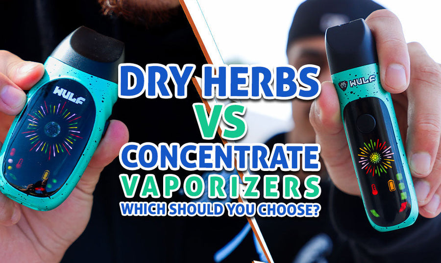 Dry Herb vs Concentrate Vaporizers: Which Should You Choose? (2026 Guide)