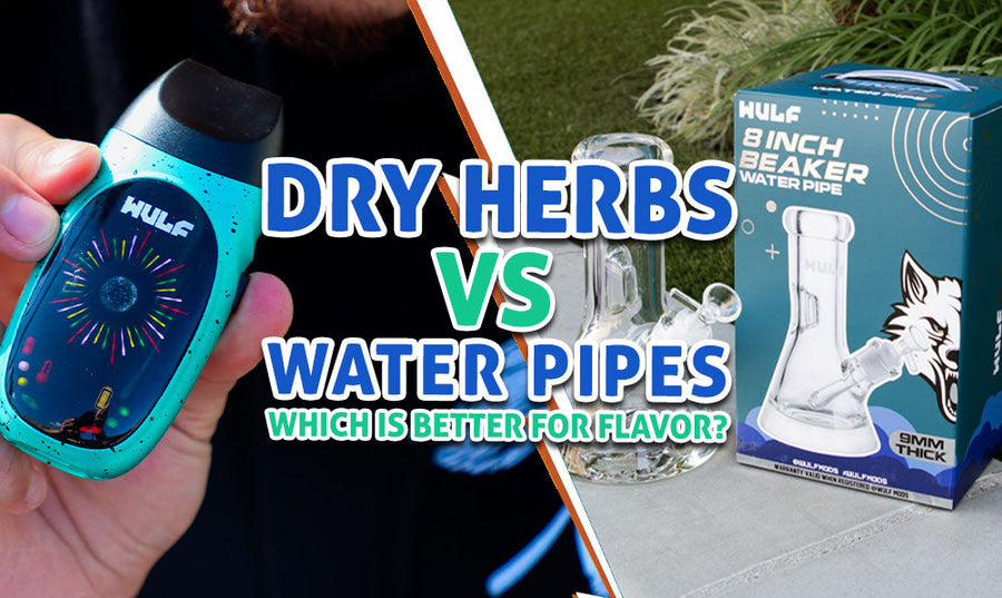 Dry Herb Vape vs Water Pipe: Which Is Better for Flavor?