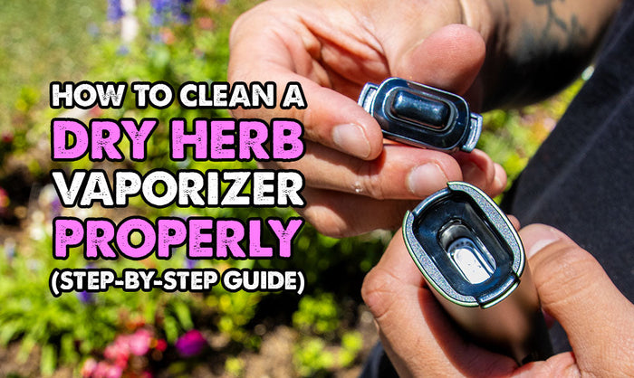 How To Clean A Dry Herb Vaporizer Properly (Step-By-Step Guide)