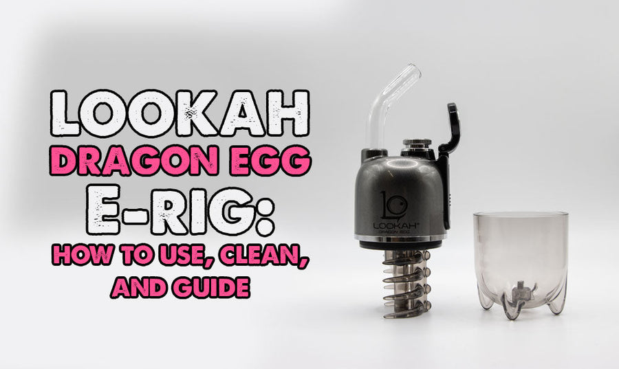 Lookah Dragon Egg E-Rig: How to Use, Clean, and Guide