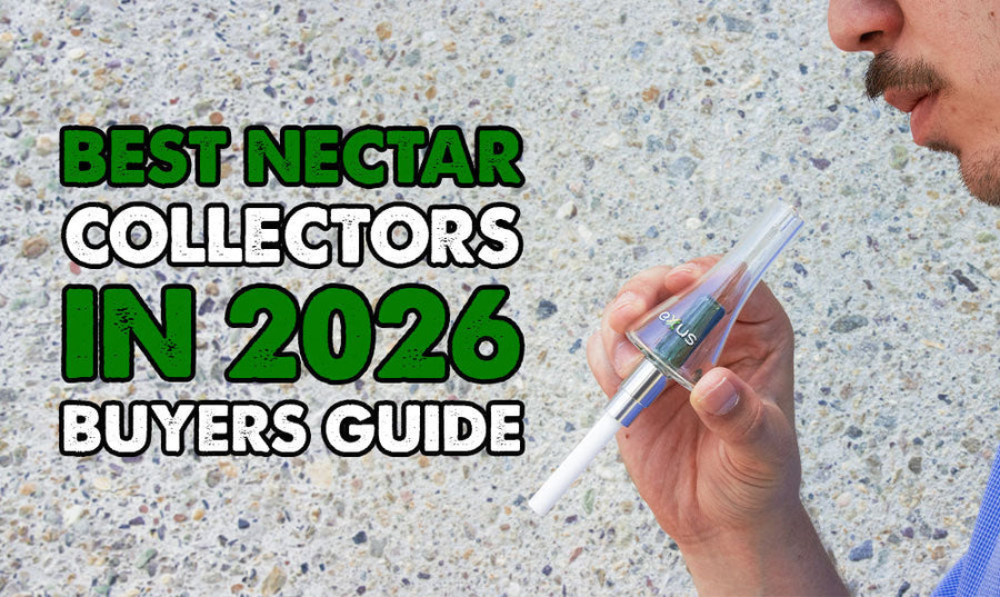 Best Nectar Collectors in 2026 (Buyer's Guide)