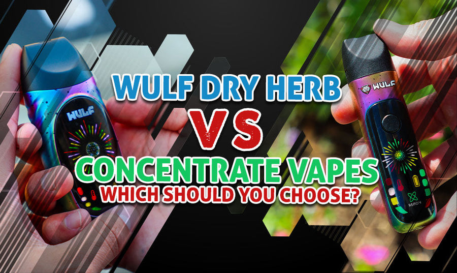 Wulf Dry Herb Vs Concentrate Vaporizers: Which Should You Choose?