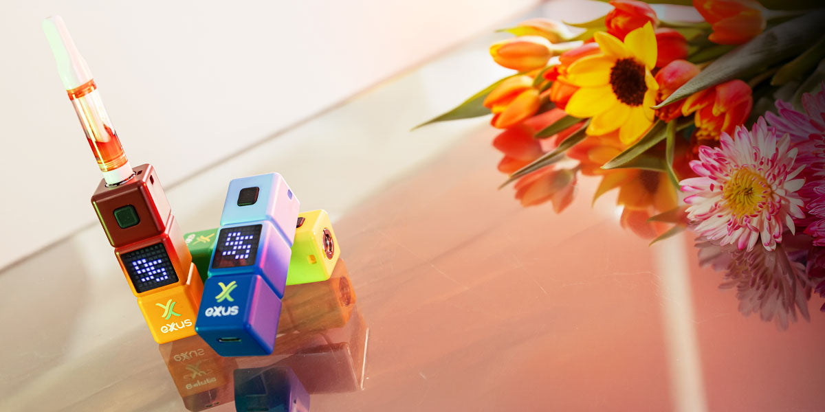 Exxus Stax on reflective glass display with spring flowers nearby