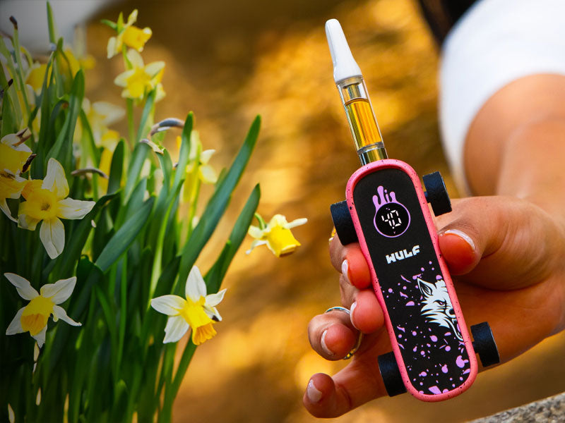 The Leading Online Shop to Buy Vapes Got Vape The Leading Online Shop to Buy Vapes Got Vape