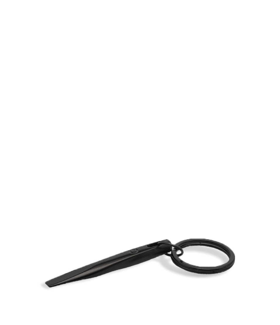 Pick Tool keychain G Pen Dash Portable Dry Herb Vaporizer on white background