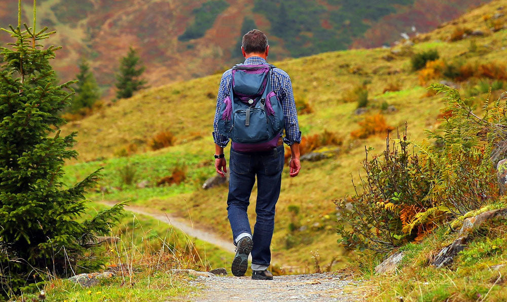 Man hiking at a forest scene
