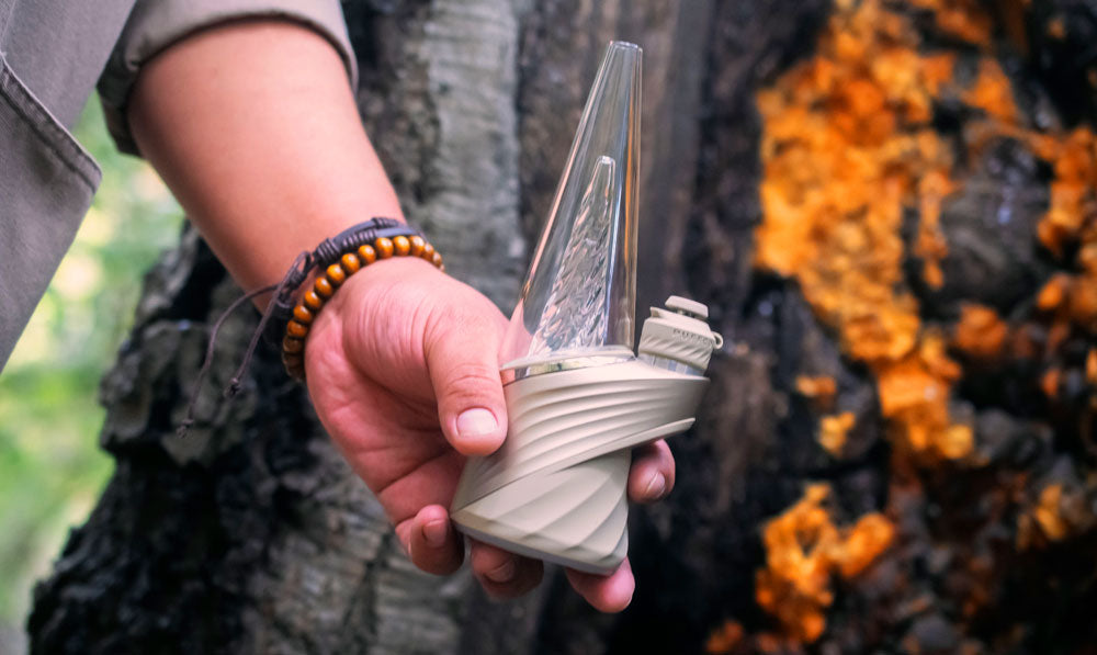 Man holding Puffco Peak Pro Desert in front of tree with orange plants growing