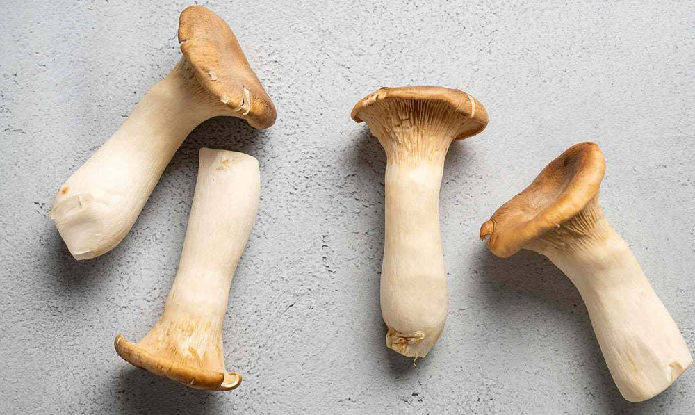 King Oyster Mushrooms on white surface