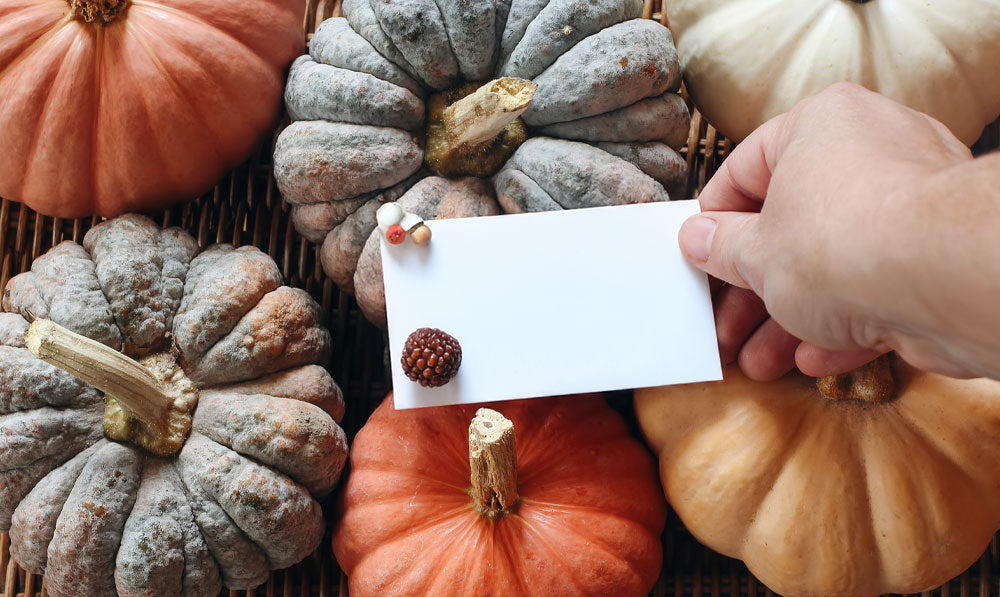 Person holding thanksgiving invitation over pumpkins