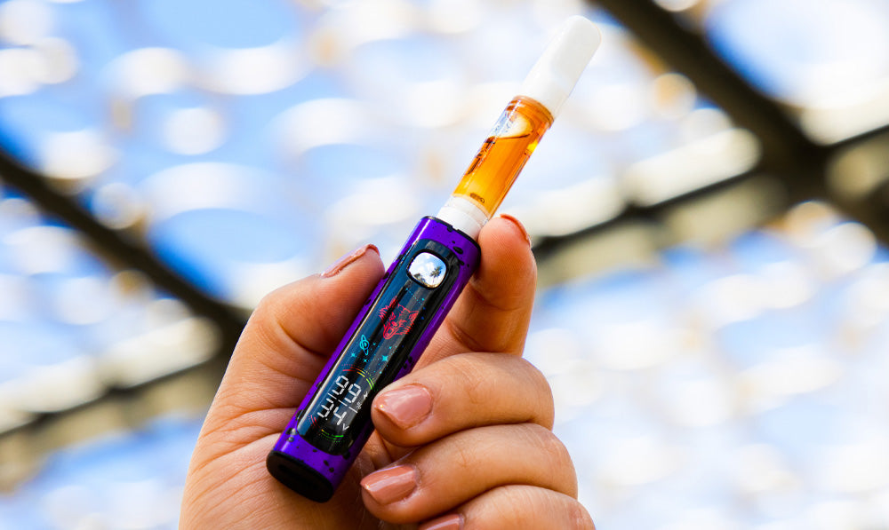 Woman holding Wulf Pro Digit to the sky