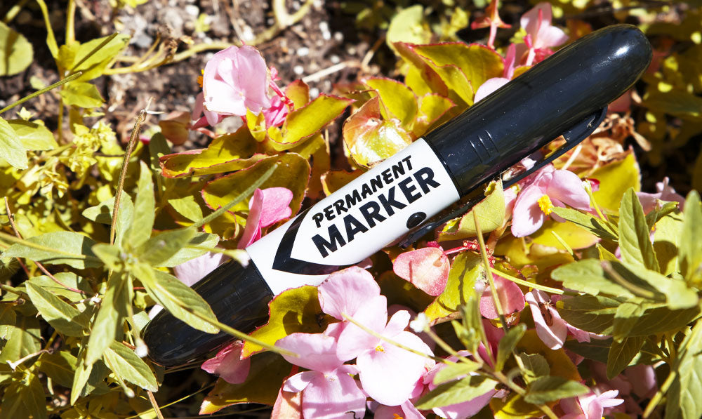 Smyle Permanent Marker Battery resting in bed of flowers