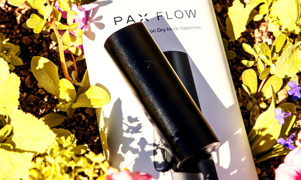 PAX Flow lying in bed of flowers