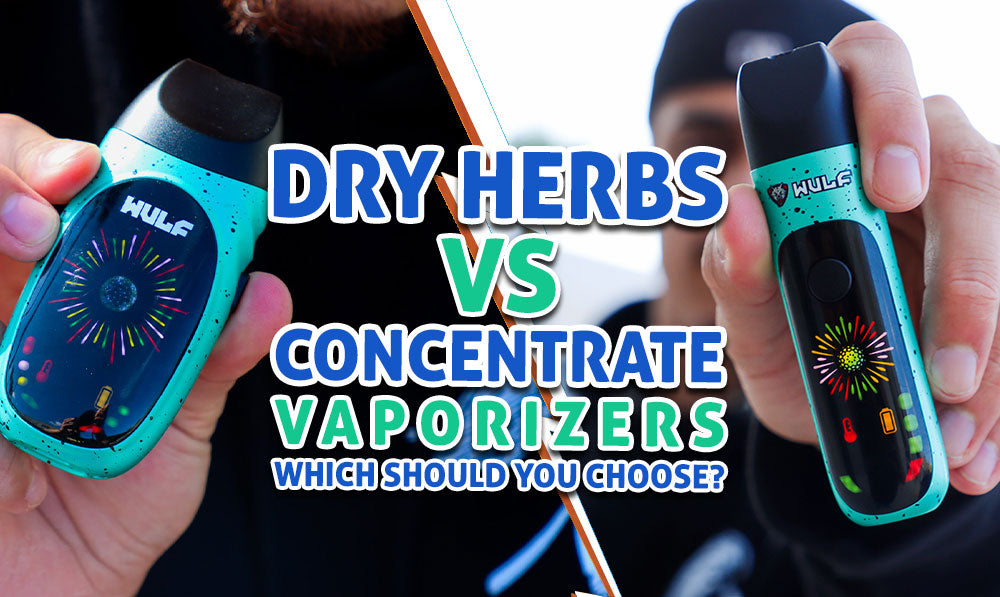 Dry Herb vs Concentrate Vaporizers: Which Should You Choose? (2026 Guide)