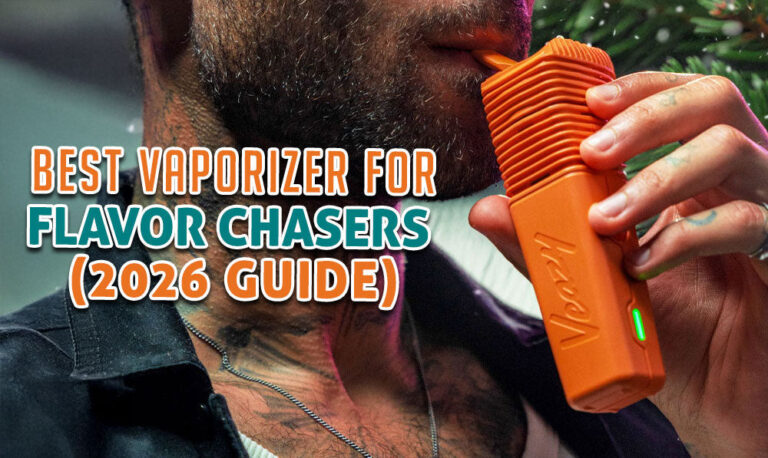 Best Vaporizers For Flavor Chasers