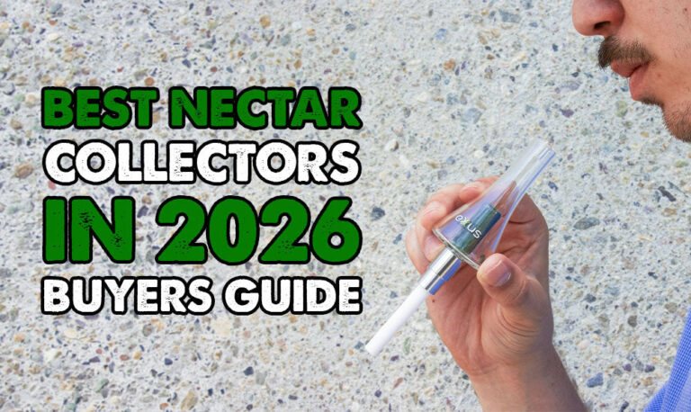 Best Nectar Collectors in 2026 (Buyer’s Guide)