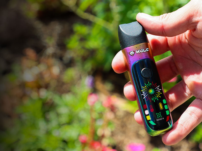 Hand holding a colorful Wulf Budr against blurred natural background