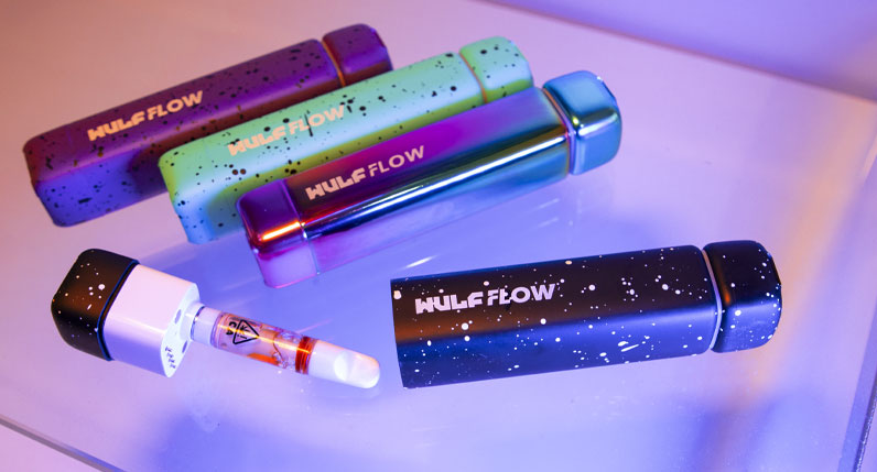 Wulf Flow on reflective glass surface with colorful lighting