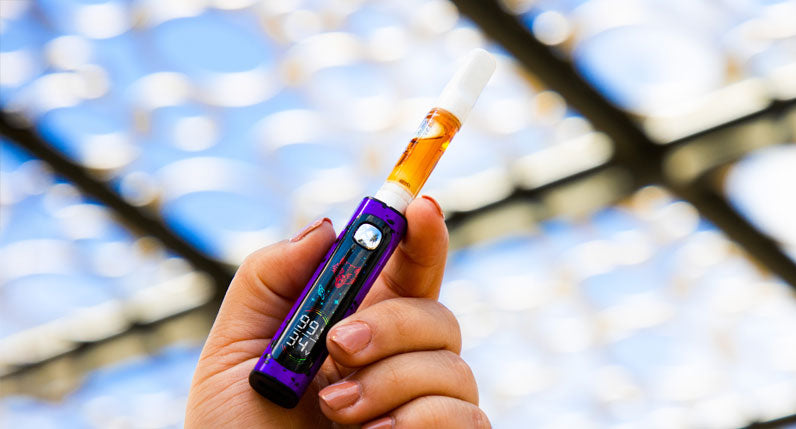 Hand holding a WULF Pro Digit 510 thread battery with a cartridge attached