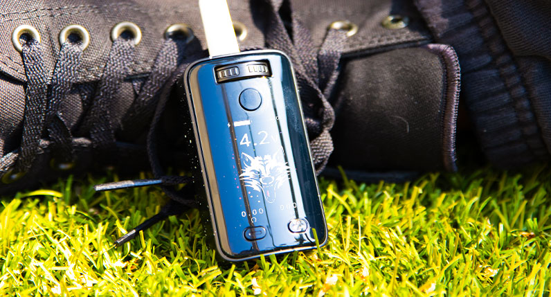 Wulf UNI 3.0 laying in grass next to shoe