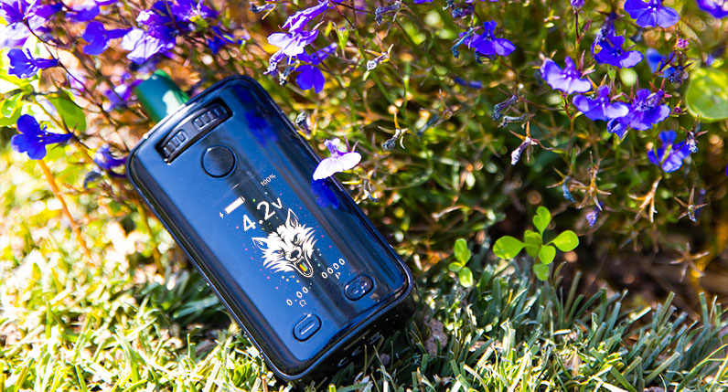 Wulf UNI 3.0 laying in grass next to blue flowers