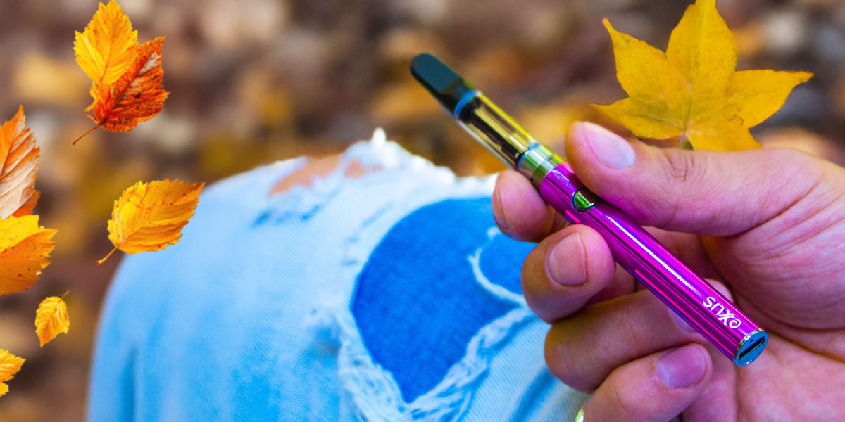 Fall sale 15% off