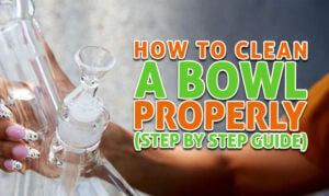 How To Clean A Bowl Properly (Step-By-Step Guide)